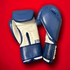 Premium Fighter - Mexico (Kék) 10oz