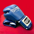 Premium Fighter - Mexico (Kék) 10oz