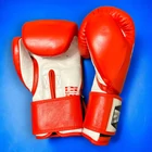 Premium Fighter - Mexico (Piros) 10oz