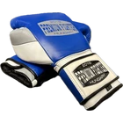 Premium Fighter - Mexico (TRICOLOR)