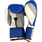 Premium Fighter - Mexico (TRICOLOR)