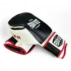 Premium Fighter - Training ( tricolor ) - kesztyű