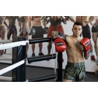 Premium Fighter – Army of Bangkok