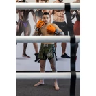 Premium Fighter – Army of Bangkok