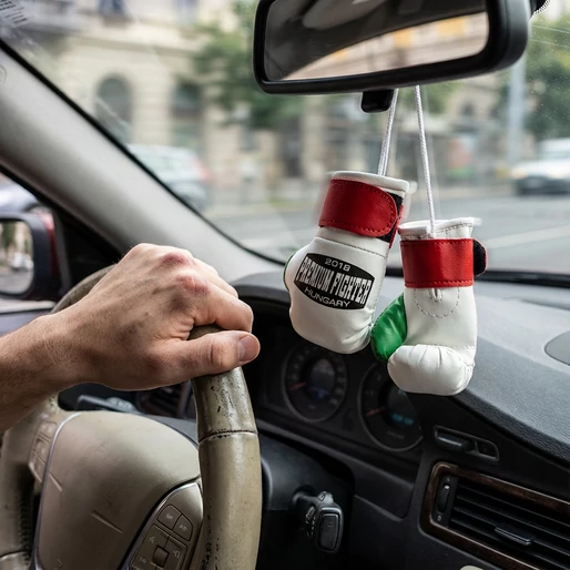 Premium Fighter Car Gloves HUN