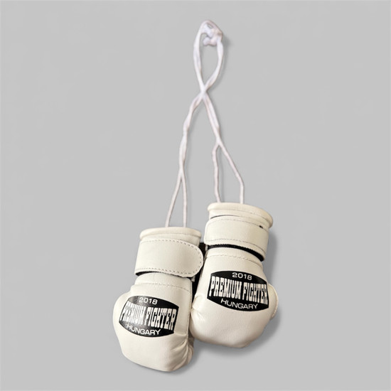 Premium Fighter Car Gloves WHITE Premium Fighter Car Gloves WHITE
