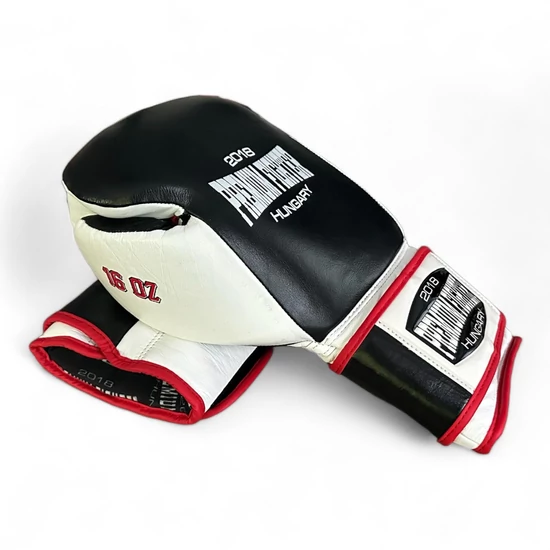 Premium Fighter - Training ( tricolor ) - kesztyű