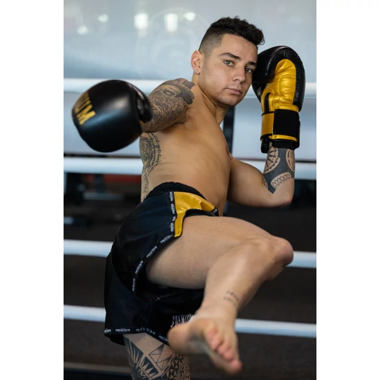 Premium Fighter – Thai Short (Fekete/arany)