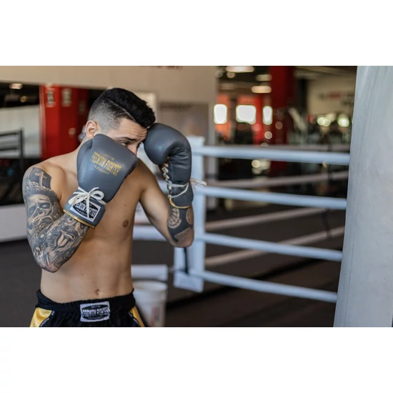 Premium Fighter – Thai Short (Fekete/arany)