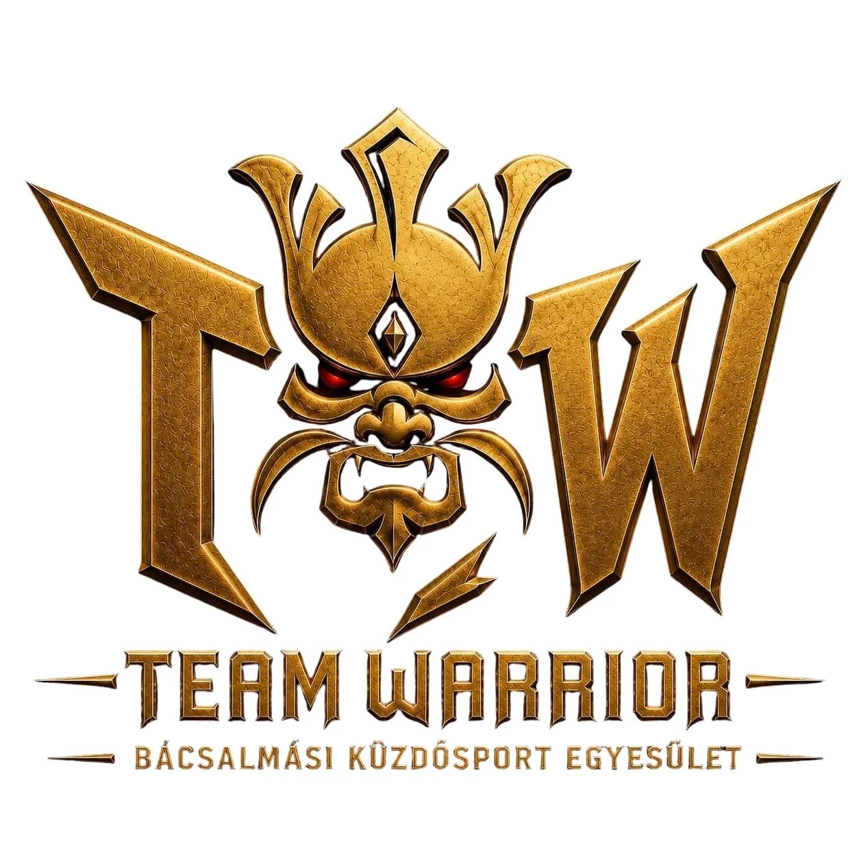 Bácsalmási Küzdősport Egyesület